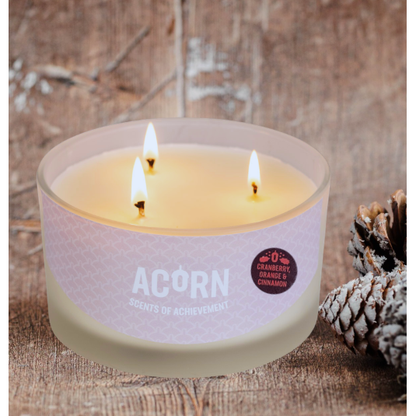 Cranberry, Orange & Cinnamon - Large Candle